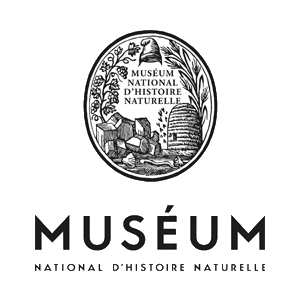 Musee national d'histoire naturelle centre noir